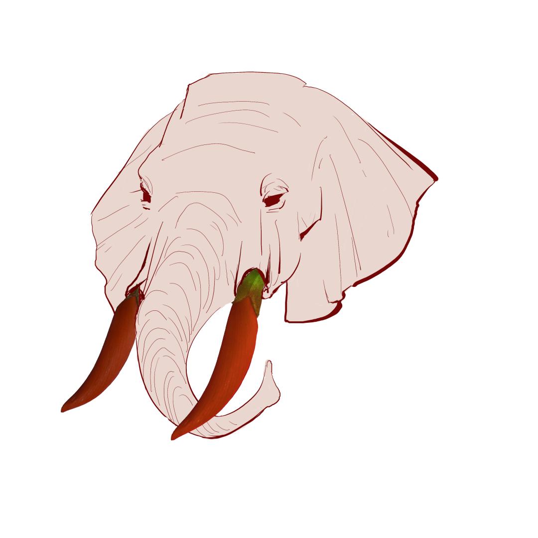 16.png